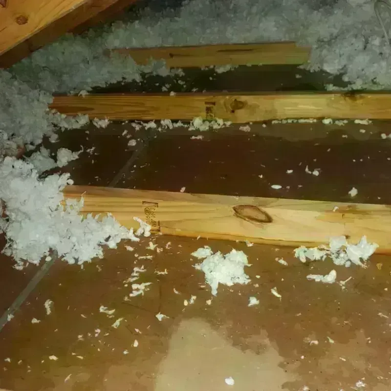 Attic Water Damage in Clyde, TX