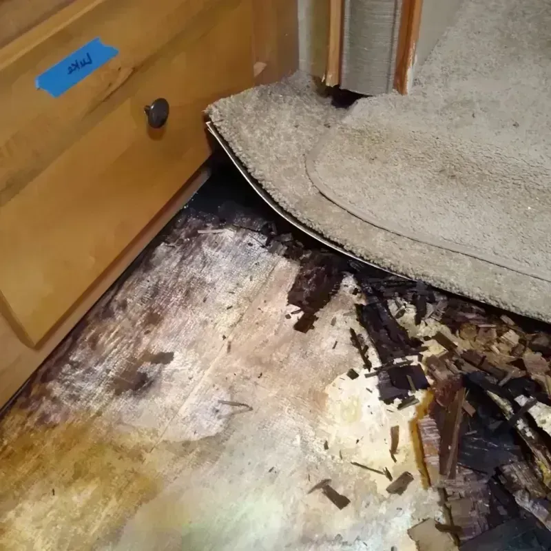 Wood Floor Water Damage in Clyde, TX